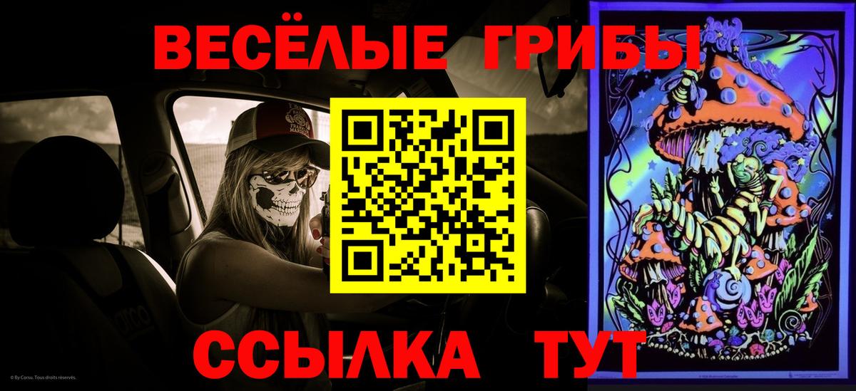 Глазов  Галлюциногенные грибы Magic Shrooms  Вход с VPN 